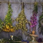 Urban Pharmacy Gardening Secrets