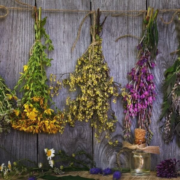 7 Essential Urban Pharmacy Gardening Secrets