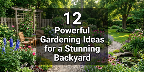 12 Powerful Gardening Ideas for a Stunning Backyard