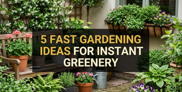 5 Fast Gardening Ideas for Instant Greenery